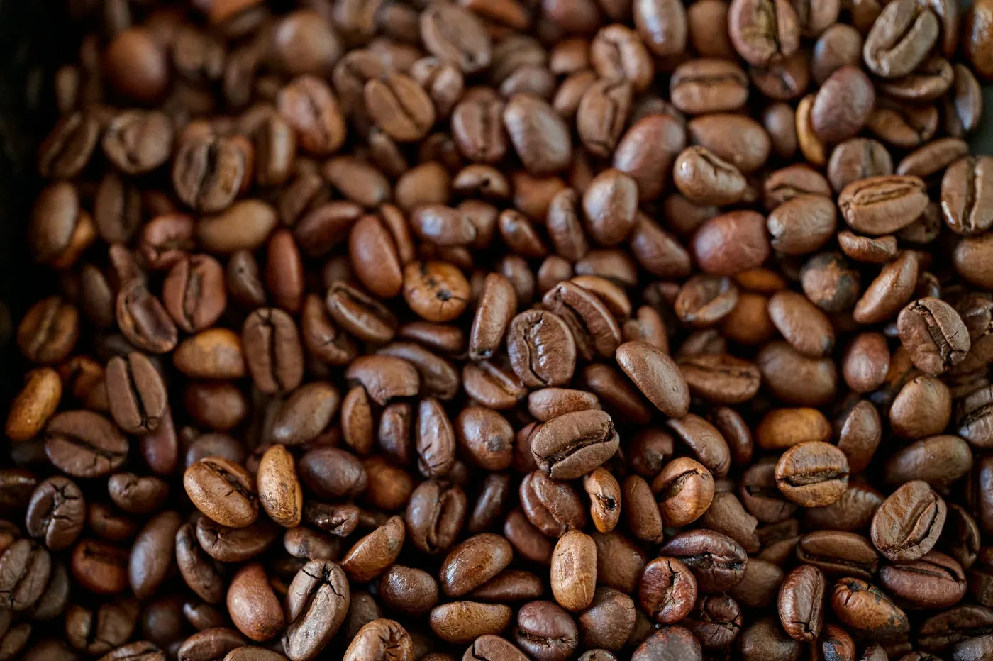 Macro detail of freshly roasted single-origin beans, photographed in studio light.