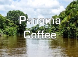 Volcanica Coffee Panama Medium Roast 16oz