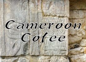 Volcanica Coffee Cameroon Original Coffee Medium Roast 16oz