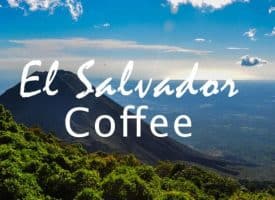 Volcanica Coffee El Salvador Coffee Medium Roast 16oz