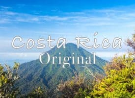 Volcanica Coffee Costa Rica Original Coffee Medium Roast 16oz