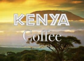 Volcanica Coffee Indian Coffee Kenya AA Medium Roast 16oz