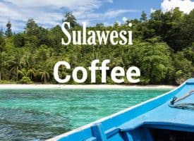 Volcanica Coffee Sulawesi Medium Roast 16oz
