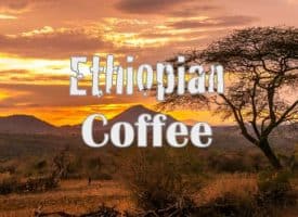 Volcanica Coffee Ethiopia Yirgacheffe Coffee Medium Roast 16oz