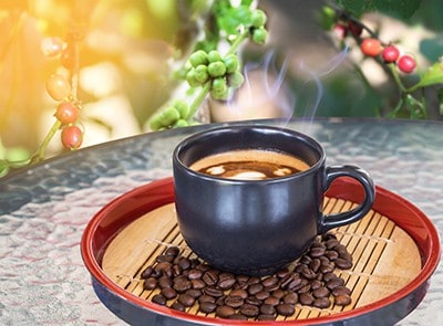 Fair Trade Coffee - Best Quality Coffee
