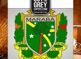 Out of the Grey Coffee Organic Maraba Bourbon Whole Bean Medium Roast Coffee 12oz
