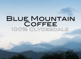 Volcanica Coffee Blue Mountain Whole Beam Medium Roast Coffee 16oz - Clydesdale 100%