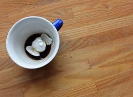 Creature Cups Specialty Coffee Mugs - Elephant Mug