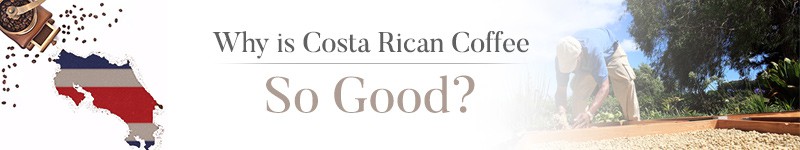 Why Costa Rican Coffee is Good - Best Quality Coffee