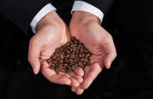 Gayo Kopi Luwak Medium Roast 3.5oz