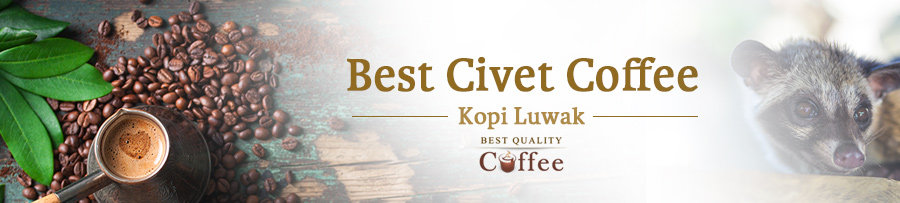 Civet Coffee Review