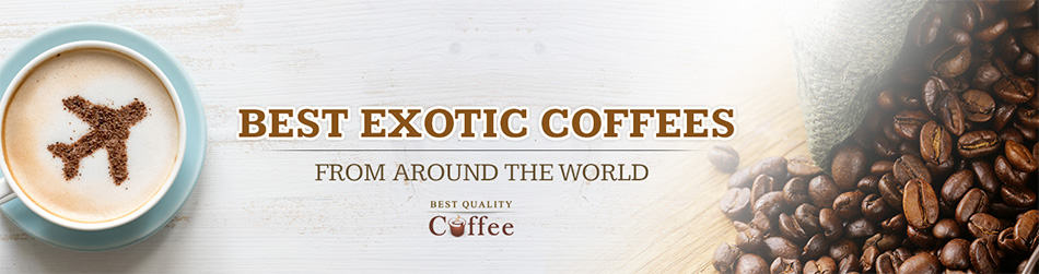 Best Exotic Coffee from Around the World