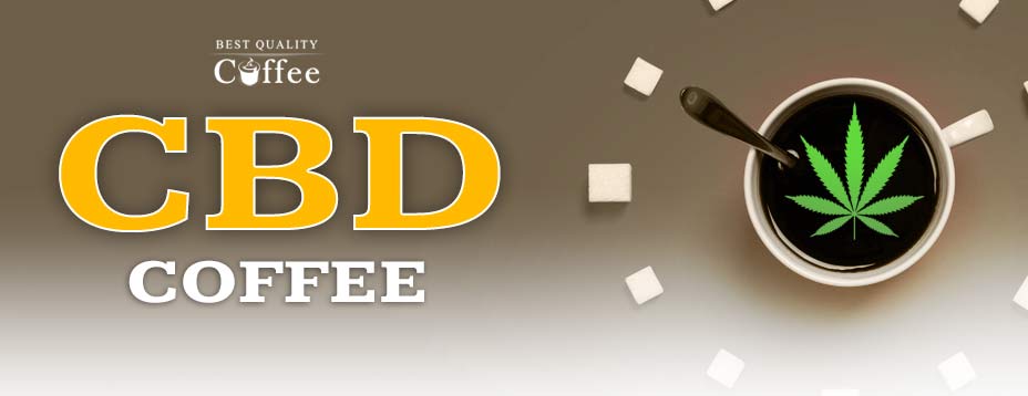 Best CBD Coffee Brands 2022