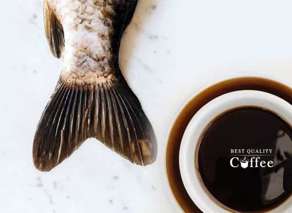 Coffee Smells Like Fish / Cat Urine
