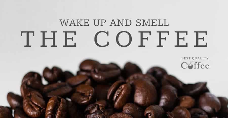 The Importance Smelling Coffee Aroma
