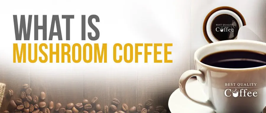 Delicious Mushroom Coffee in Convenient K-Cups
