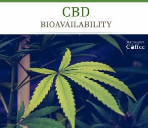 CBD and Bio Availability