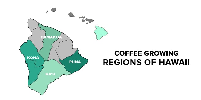 The Best Hawaiian Coffee Top Picks Of 2024 Best Quality Coffee