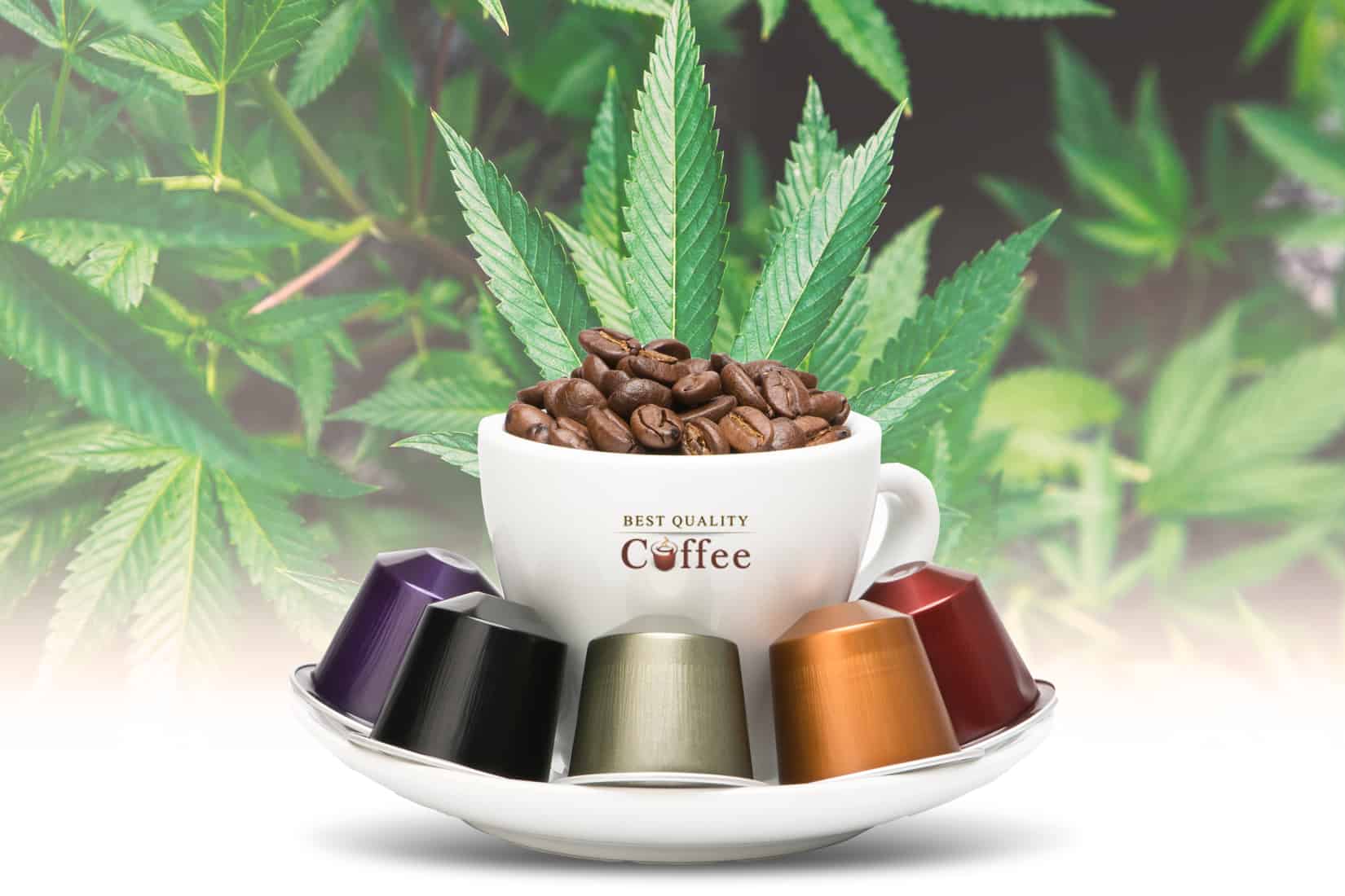 Best CBD Coffee K Cups and Hemp Coffee Pods Best Quality Coffee