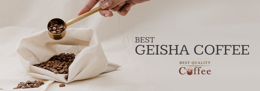 Best Geisha Coffee / Best Gesha Coffee