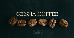 Geisha Coffee / Gesha Coffee