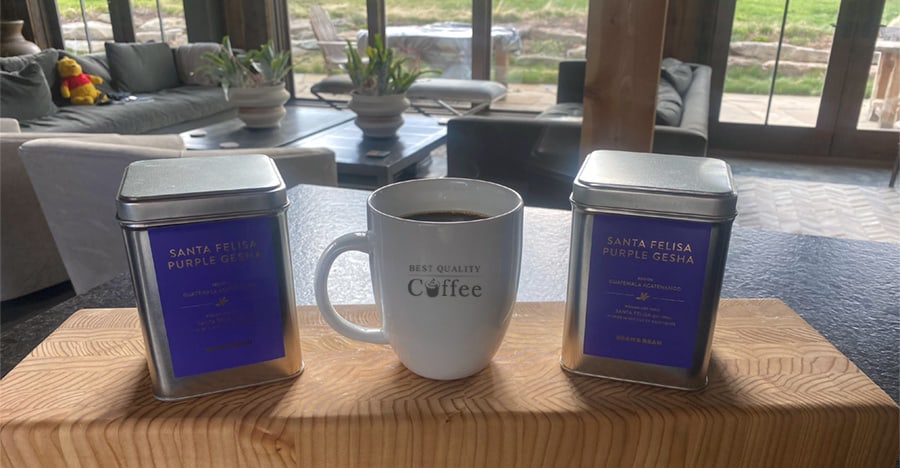 Bean and Bean Coffee Review - Coffee with a Purpose - Best Quality Coffee