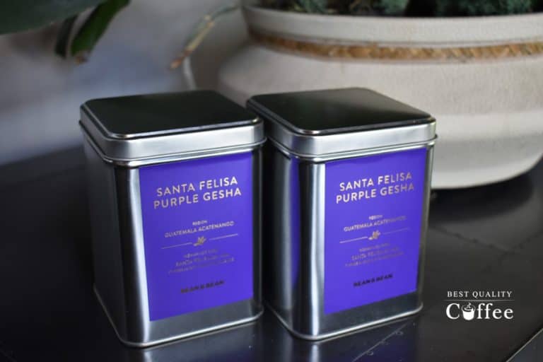 Bean and Bean Coffee Review Coffee with a Purpose Best Quality Coffee