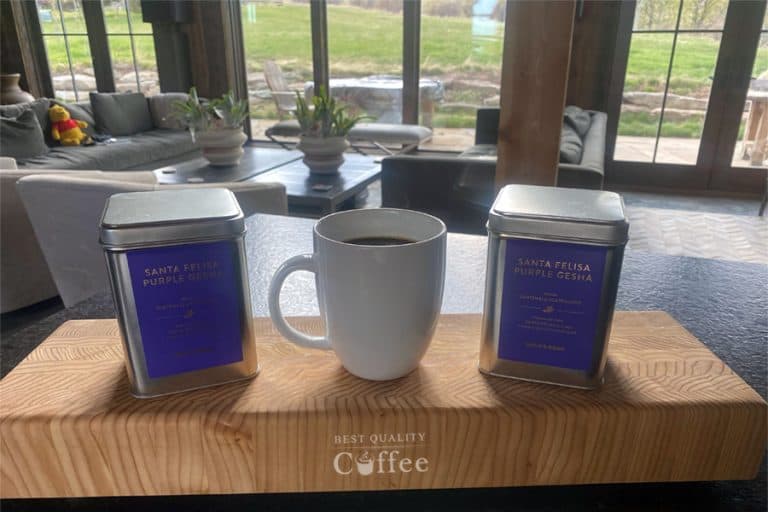 Bean and Bean Coffee Review Coffee with a Purpose Best Quality Coffee