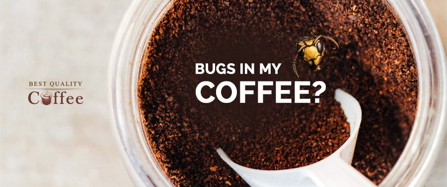 Bugs In Coffee2 