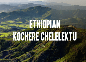 Ethiopian Kochere Chelelektu Coffee
