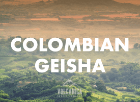 Colombian Geisha Coffee
