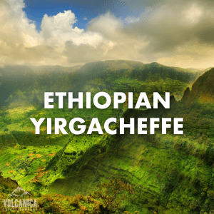 #1 Best Seller - Ethiopian Yirgacheffe Coffee, Organic