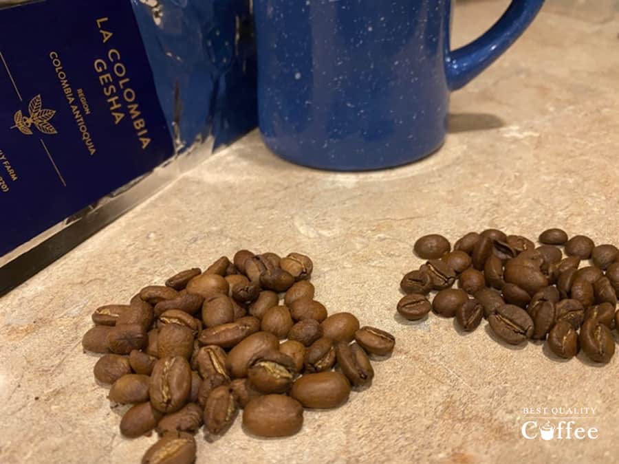 Bean analysis of Geisha Coffee