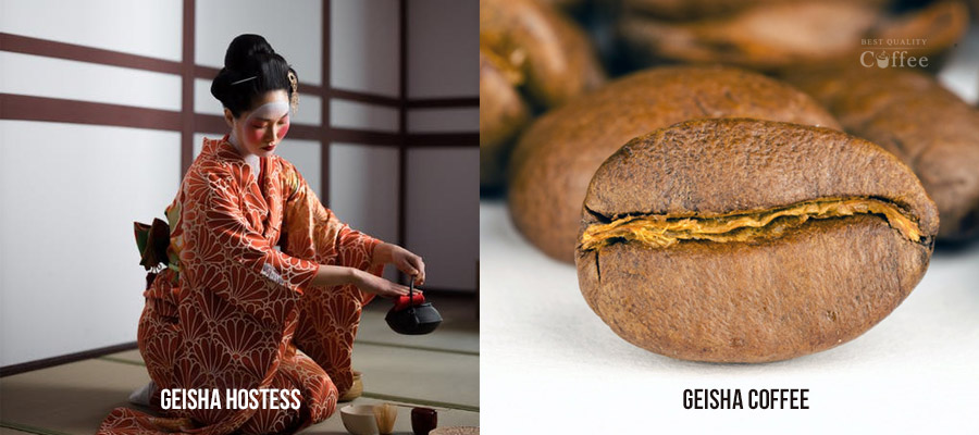 Geisha versus Gesha - Difference