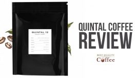 Quintal Coffee Review