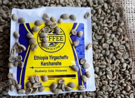 Covenant Coffee Ethiopia Yirgacheffe Light Roast