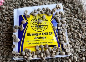 Covenant Coffee Nicaragua SHG Jinotega Medium Roast