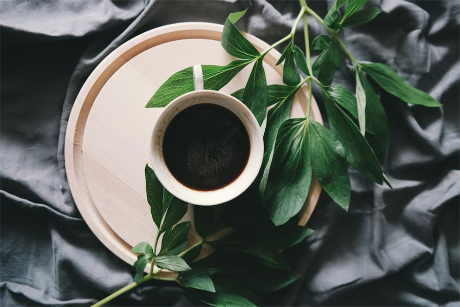 A Review of the Best Gevalia K cups on the Market - Best Quality Coffee