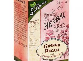 234497 Functional Herbal Tea Blends Ginkgo Recall with Turmeric & Gotu Kola, 20 Tea Bags