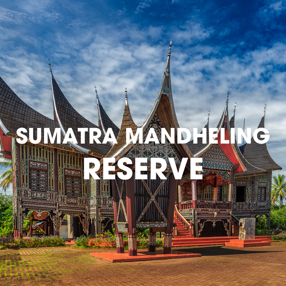 Photo inspiration: Visual Reference: Sumatra Mandheling Reserve Coffee