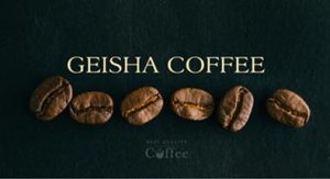 Best Geisha Coffee