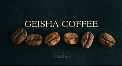 Discovering the Best Geisha Coffee (aka Gesha Coffee) of 2023