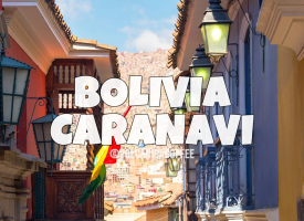 Bolivia Coffee Caranavi
