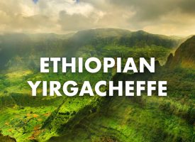 Ethiopian Yirgacheffe Coffee, Organic