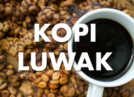 Kopi Luwak Coffee - Free Range Kopi Luwak, 16 oz.