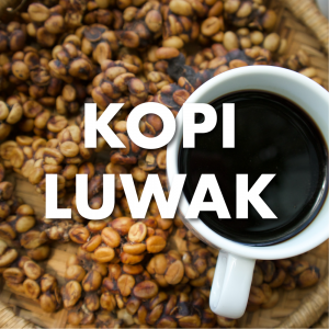 Kopi Luwak Coffee - Free Range Kopi Luwak, 16 oz.