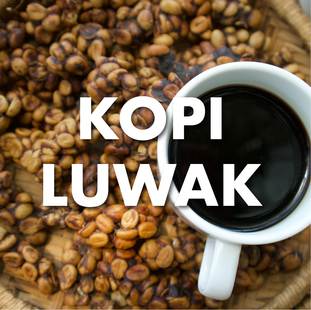 Kopi Luwak Coffee Free Range Kopi Luwak, 16 oz. Best Quality Coffee