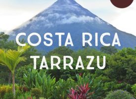 Costa Rica Tarrazu Decaf Coffee