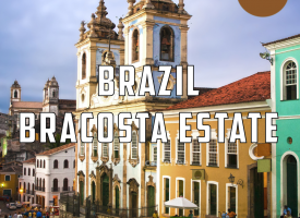 Brazil Decaf Coffee - Bracosta Estate