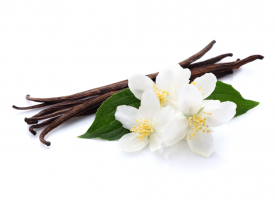French Vanilla Flavored Coffee - French Vanilla Coffee